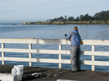 Jenny sampling